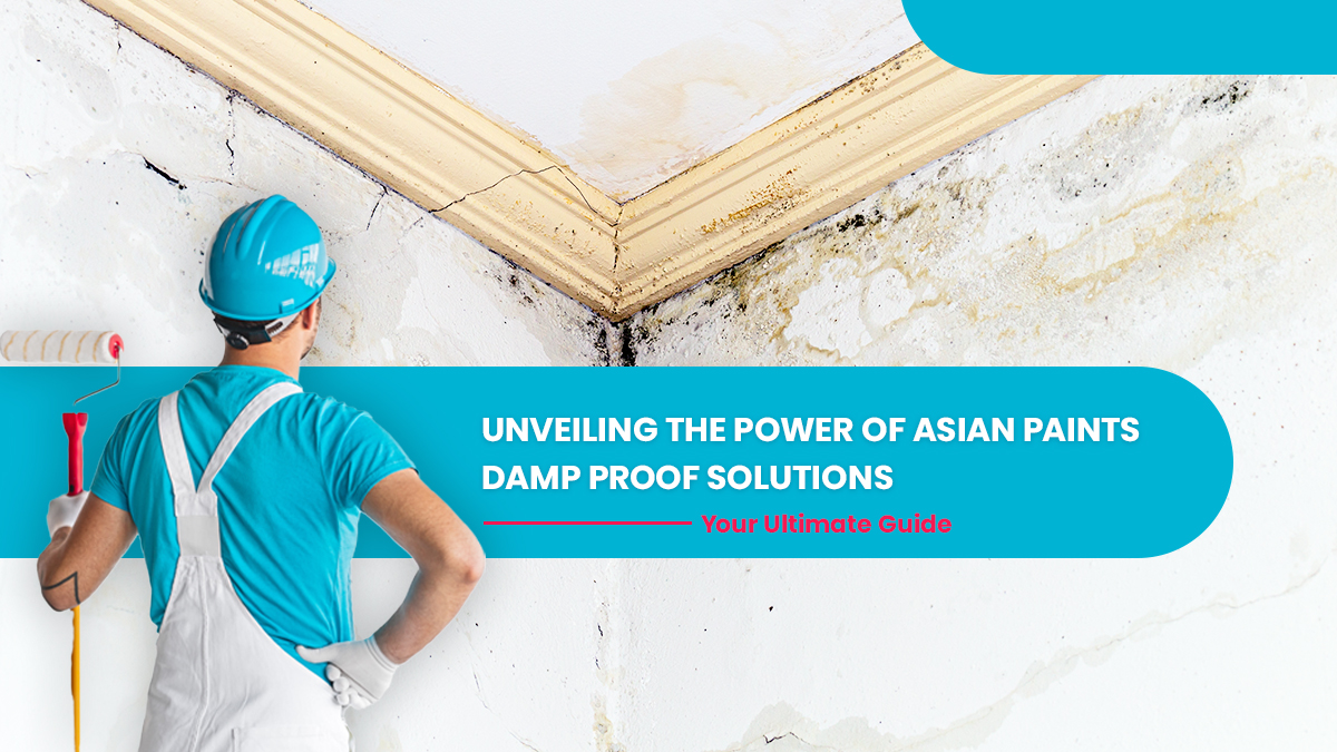 Unveiling the Power of Asian Paints Damp Proof Solutions