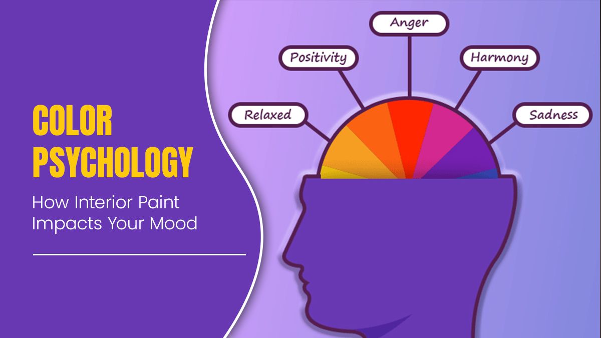 Colour Psychology: How Interior Paint Impacts Your Mood