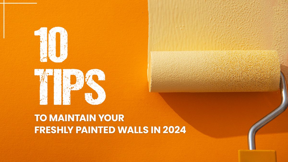 10 Tips to Maintain Your Freshly Painted Walls in 2024